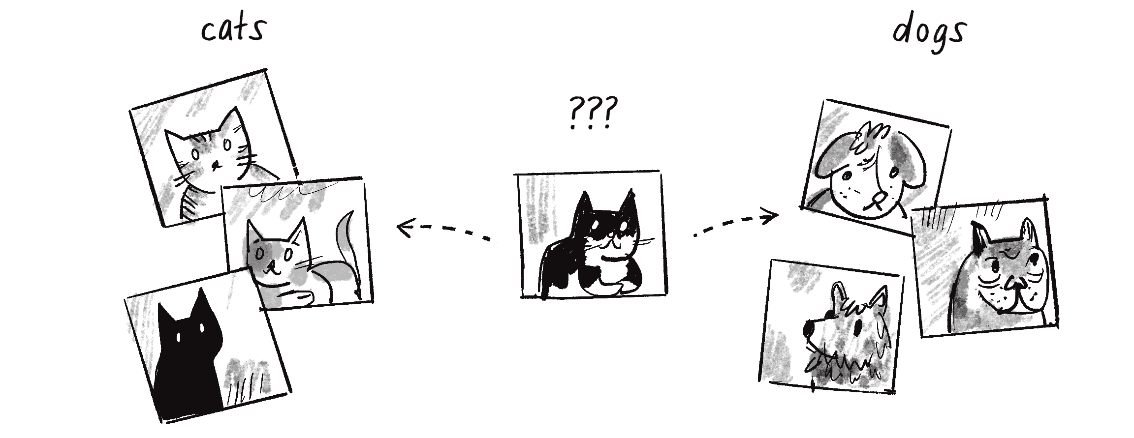 Figure 10.14: Labeling images as cats or dogs