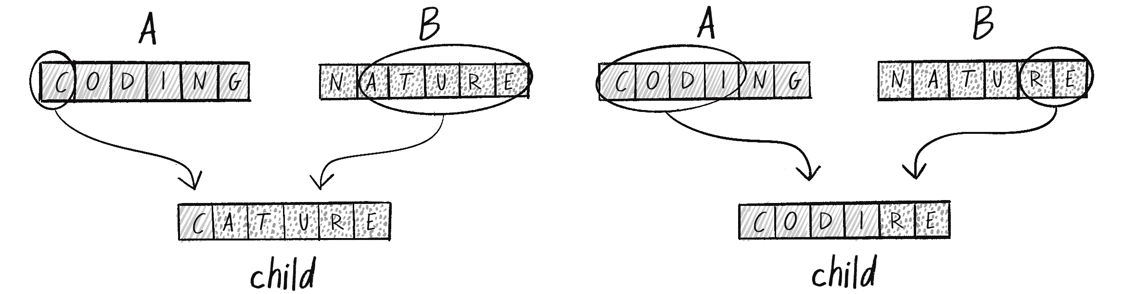 Figure 9.4: Two examples of crossover from a random midpoint 