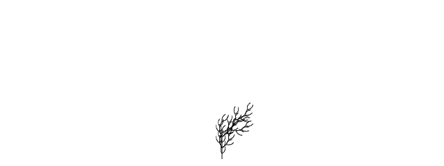 p5.js sketch screenshot