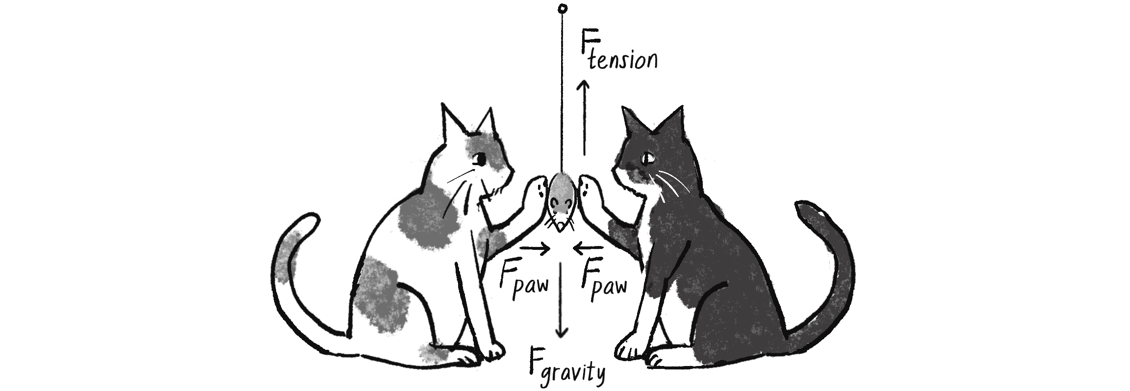 Figure 2.1: The toy mouse doesn’t move because all the forces cancel one another out (that is, they add up to a net force of zero).