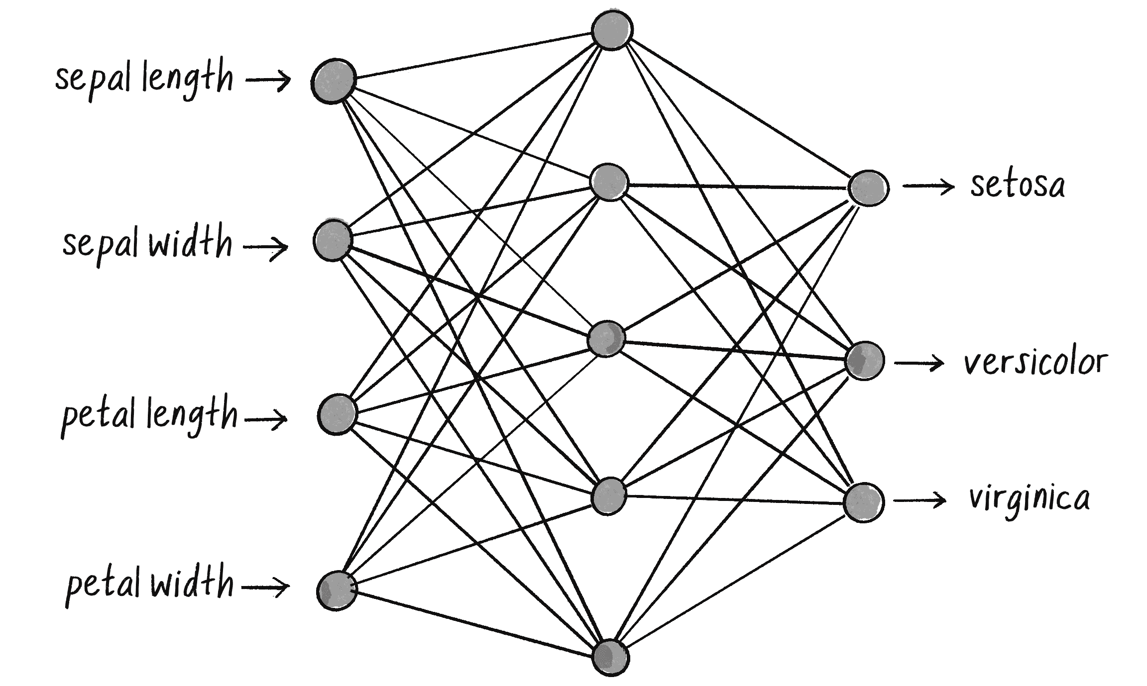 Figure 10.18: A possible network architecture for iris classification