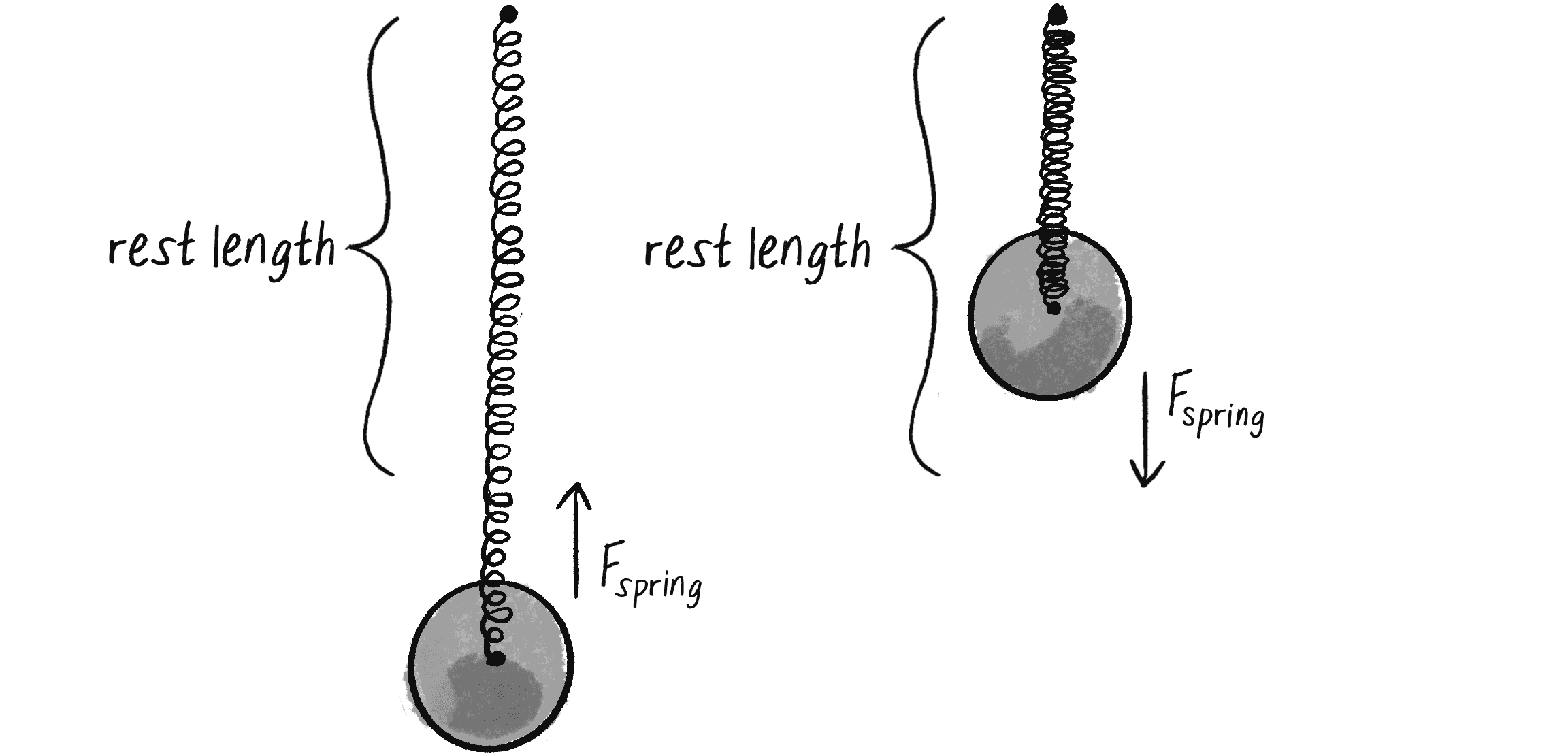 Figure 3.16: The spring force points in the opposite direction of the displacement.