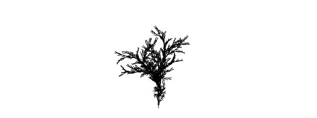 p5.js sketch screenshot