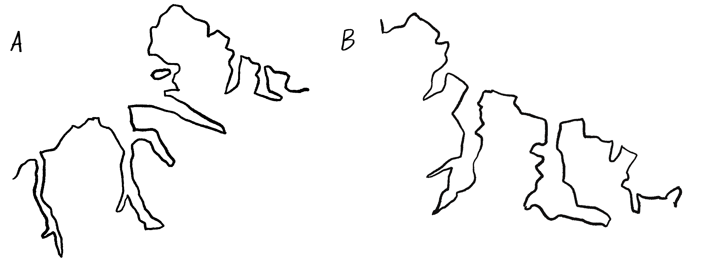 Figure 8.4: Two coastlines