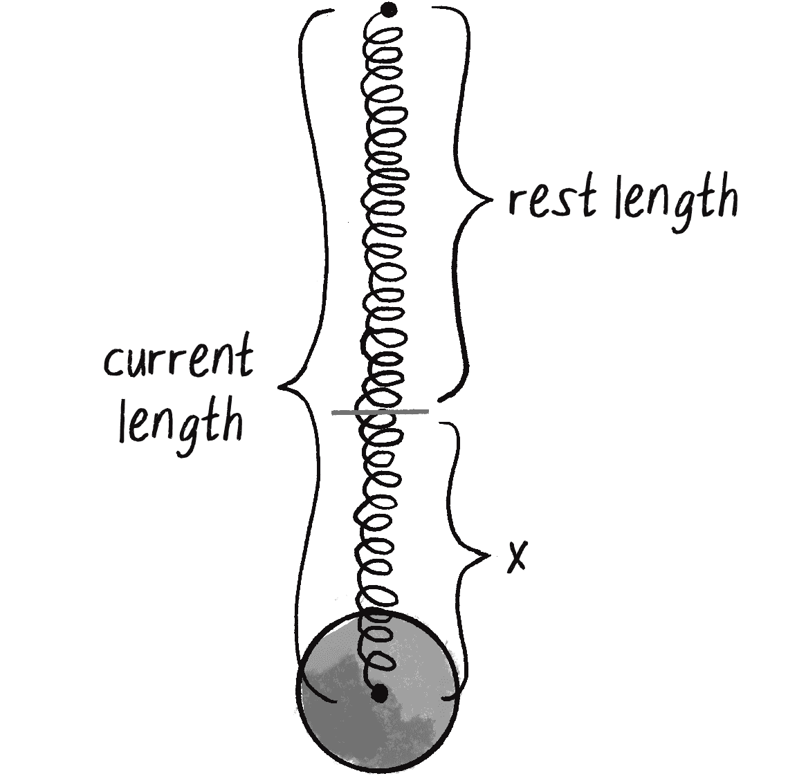 Figure 3.15: A spring’s extension (x) is the difference between its current length and its rest length.
