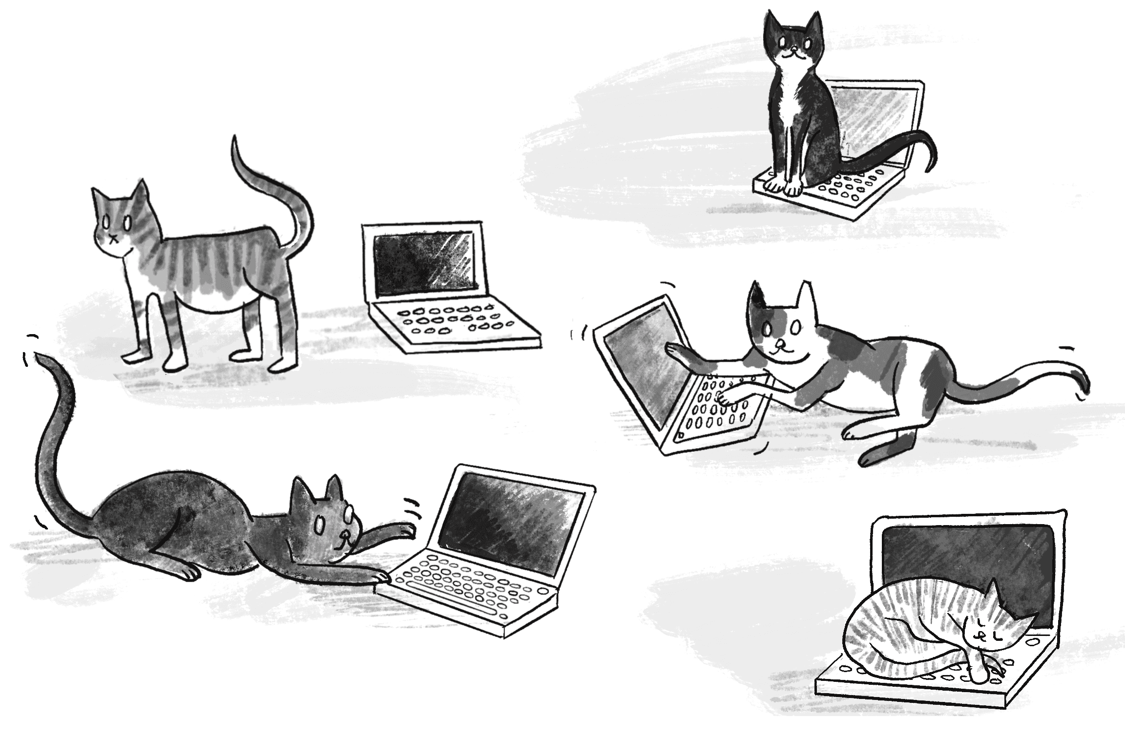 Figure 9.1: Infinite cats typing at infinite keyboards